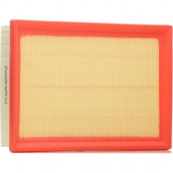 Arlim 8A0376 Filtrador de Ar RIDEX