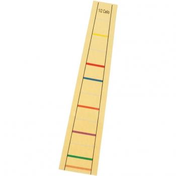 Cello Practice Fretboard Stickers for Kids