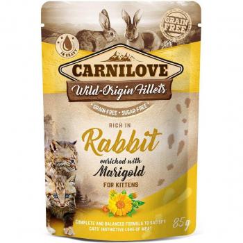 Carnilove Cat Pouch Ragout