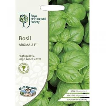 Aroma Basil Seeds