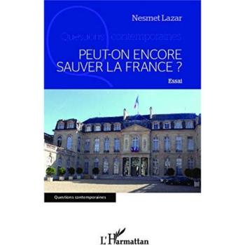 Peut-on encore sauver la France ?: Essai