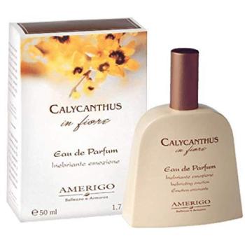 Calycantus Aroma di Lavanda