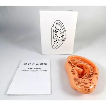 Knochenschnitt-Ohr-Akupunkturnadel 13 cm – ArtMed IT‑096