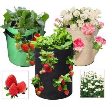 Potato Planter Grow Bag