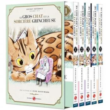 Le Gros Chat et la Sorcière grincheuse