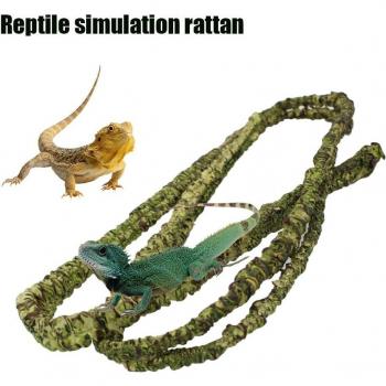 Décoration Naturelle pour Lézards et Grenouilles