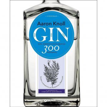 Gin. Arte, mestiere e nuova sapienza in 300 distillazioni