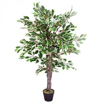 130cm Green Ficus Tree