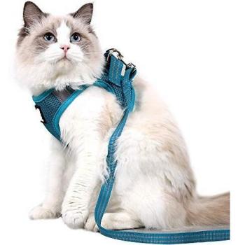 Dotoner Cat Outdoor Walking Harness Set, Pet Vest Harness Breathable Mesh, Adjustable Reflective Cat Chest Straps with Escape Proof Buckle (XS, Pine Green)