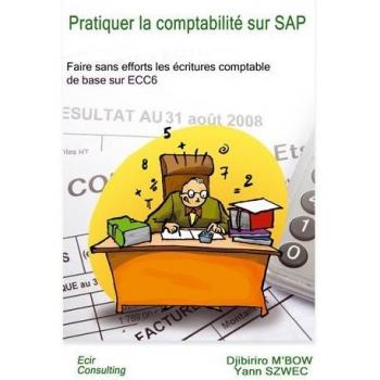 Pratiquer La Comptabilité Sur Sap