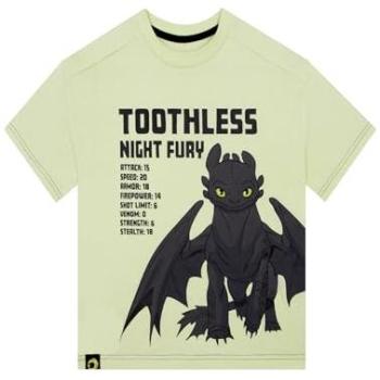 Dragon Trainer's Night Fury Green T-Shirt (Kids 5-6)