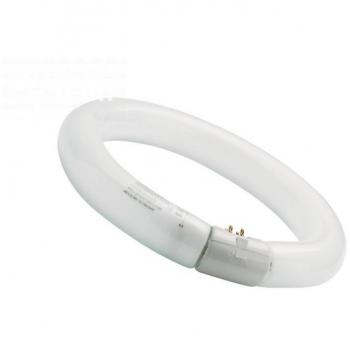 Luminette Fluocompacte Circline 22 cm, 22 W, Blanc lumineux, 4000 K