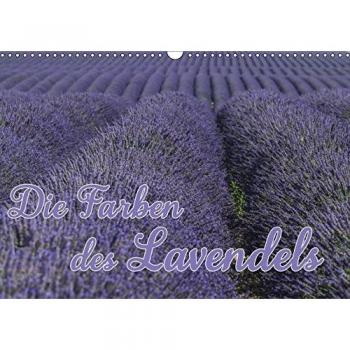 Die Farbe des Lavendels