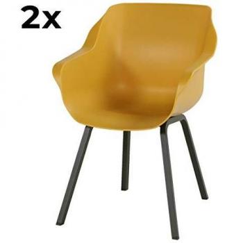 Confezione da 2 Sedie Sophie Element