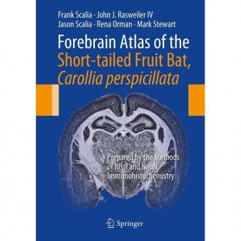 Forebrain Atlas of the Short-tailed Fruit Bat Carollia perspicillata