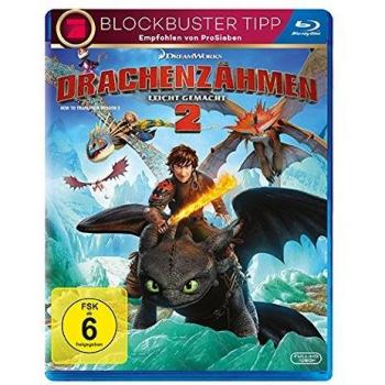Drachenzähmen leicht gemacht 2 [Blu-ray]