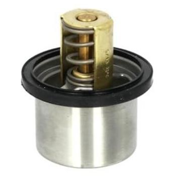 WAHLER 4619.82: Termostato + Líquido Refrigerante