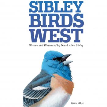 The Sibley Field Guide to Birds of Western North America