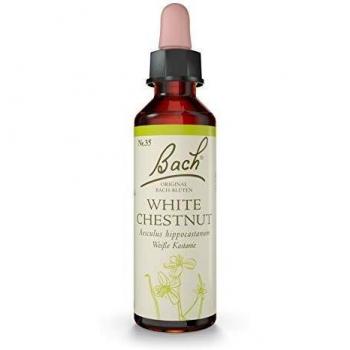 Bachblüten Tropfen zur Förderung der geistigen Ausgeglichenheit, 20ml