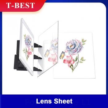 No Overlap Shadow Mirror