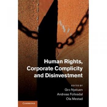 Human rights, corporate complicity and disinvestment