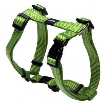 Cinta de nylon Verde Rogz para collares y arneses