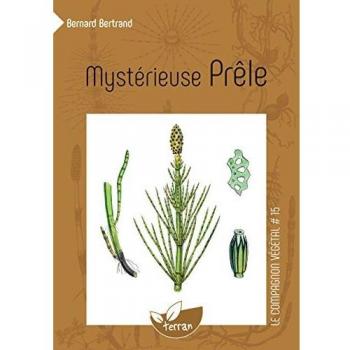 Mysterieuse prele
