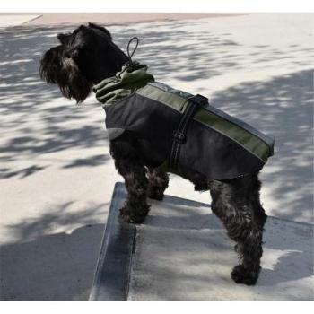 Nayeco Impermeable para Perro Verde