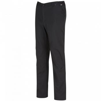 Verofficiële Regatta Fenton Softshell