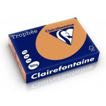 CLAIREFONTAINE Kopierpapier Trophee A4 160 g/qm VE=250 Blatt Camel