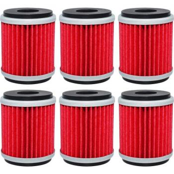Cyleto Oil Filter Set for HM Moto Locusta 200 4T