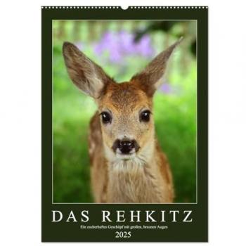 Das Rehkitz ein zauberhaftes Geschöpf mit großen braunen Augen (Wandkalender 2025 DIN A2 hoch) CALVENDO Monatskalender