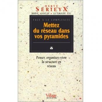 Face A La Complexite, Mettez Du Reseau Dans Vos Pyramides