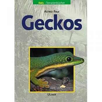 Astrid Falk Geckos