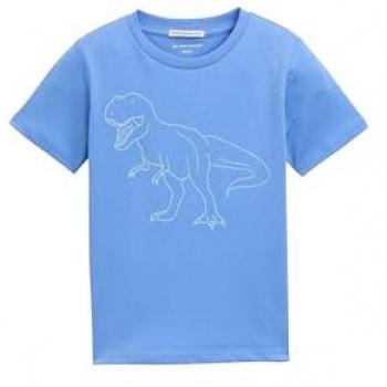 TOM TAILOR Jungen T-Shirt mit leuchtendem Print
