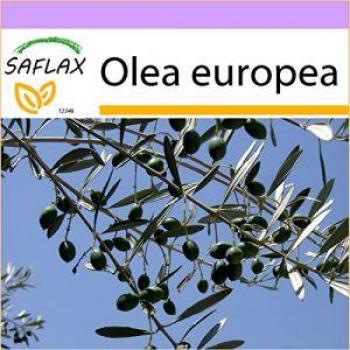 SAFLAX