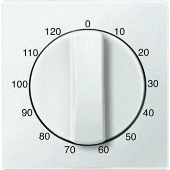 Merten 539219 Piastra centrale per timer
