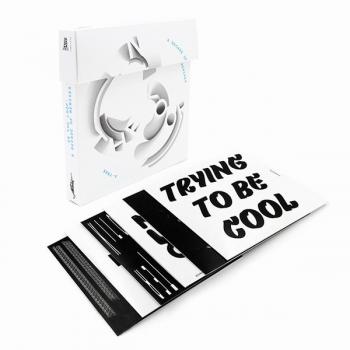 In The Loop A Decade Of Remixes