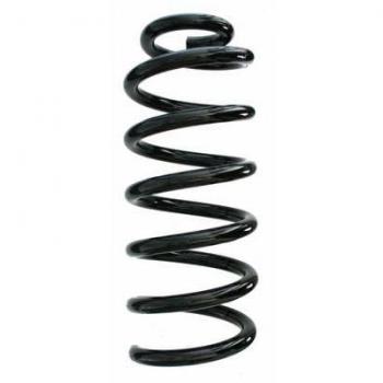 SPIDAN Schraubenfeder hinten 87691