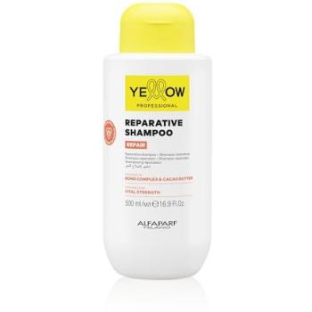 RadiantRepair Premium Shampoo 500ml