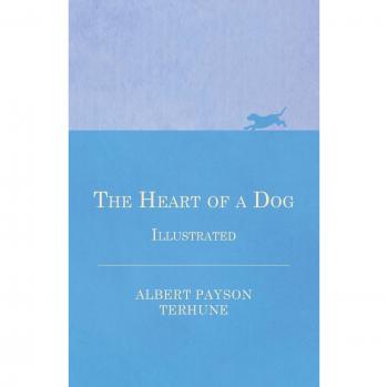 The Heart of a Dog