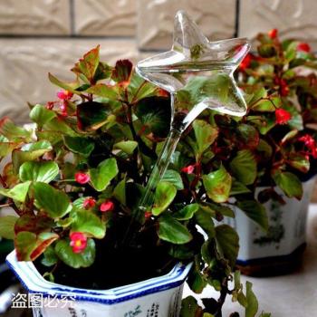 Clear Feathered Plant Hydrator