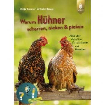Krause, Antje: Warum Hühner scharren, nicken und picken