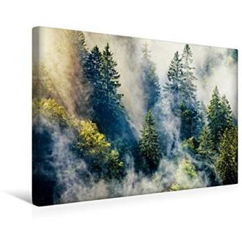 Leinwanddruck Calvendo: Schwarzwald im Nebel, 45 × 30 cm