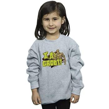 Groot Fan Tee for Girls – Guardians of the Galaxy Grey, 12-13 years