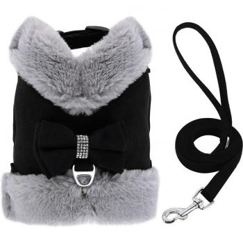 Harnas en Leash Set voor Puppy met Bontvoering