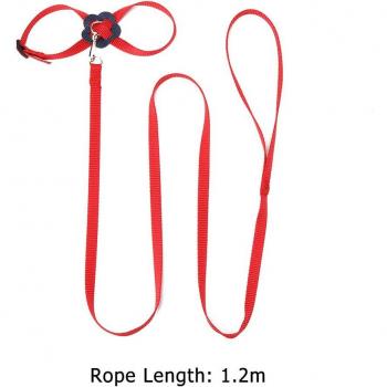 Laisse pour perroquet en nylon avec système de suivi