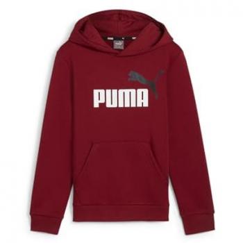 Puma sudadera niño invierno algodón granate capucha 586987-13