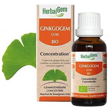 Ginkgo Energia Natural 50ml