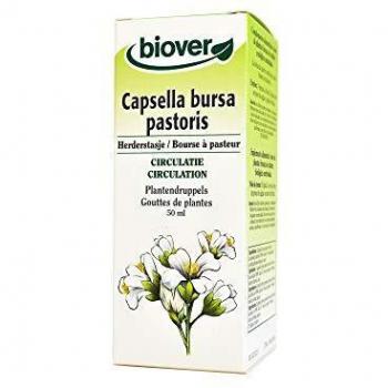 Extracto de Capsella Bursa Pastoris (Bolsa de Pastor) Biover